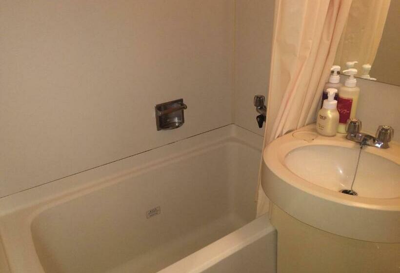 标准单人间, Crown Hills Tokuyama