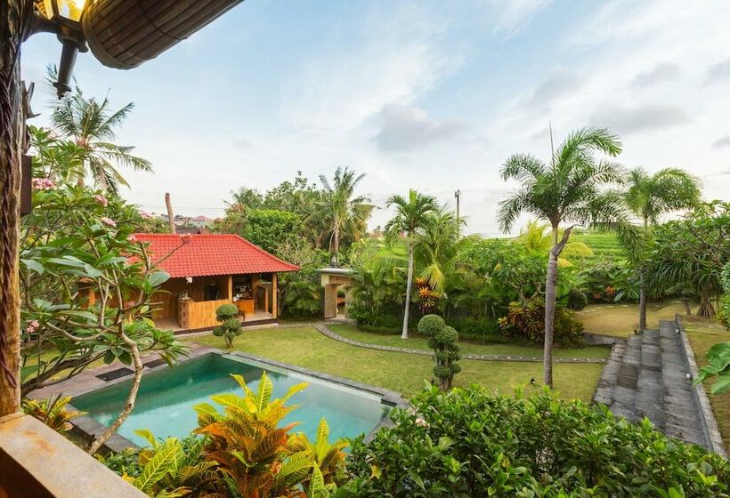 ویلای 1 خوابه, Dawas Villa