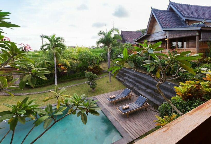 ویلای 1 خوابه, Dawas Villa