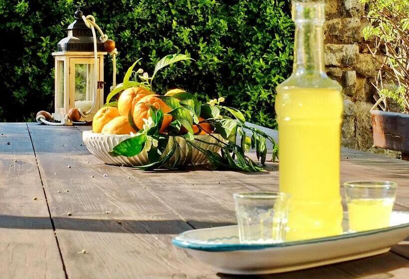 חדר קלאסי, B&b Villa Elisa