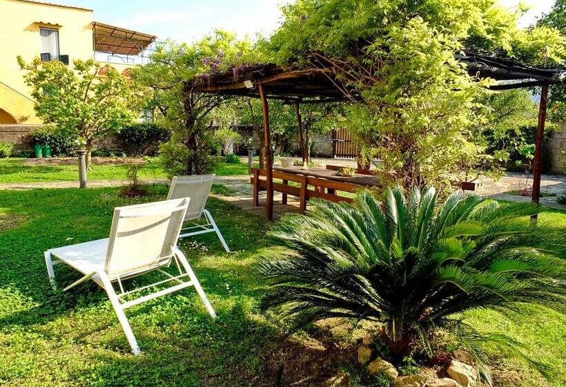 חדר סטנדרט עם מרפסת, B&b Villa Elisa