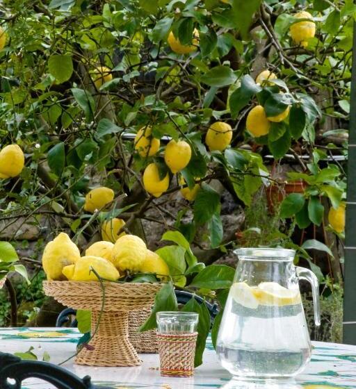 کلبه ییلاقی, Chalet Lidia