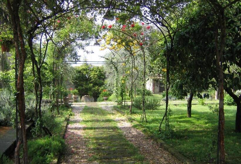 سوییت با چشم‌انداز باغ, Chalet Lidia