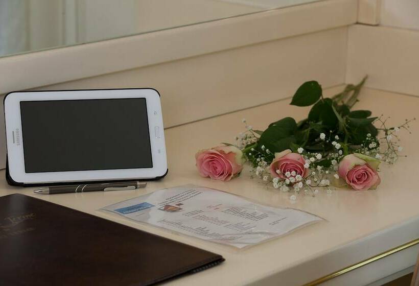 غرفة ديلوكس فردية, Terme Abano Verdi