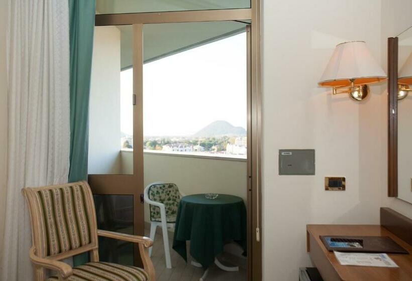 غرفة قياسية فردية, Terme Abano Verdi