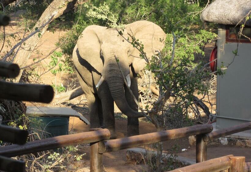 בקתת חדר, Baluleni Safari Lodge