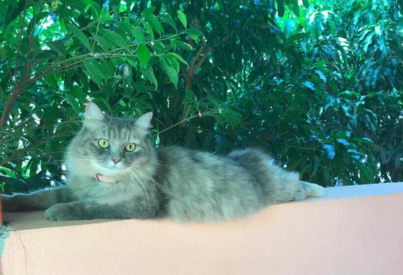 غرفة ديلوكس مزودة بشرفة, Rimsuan House