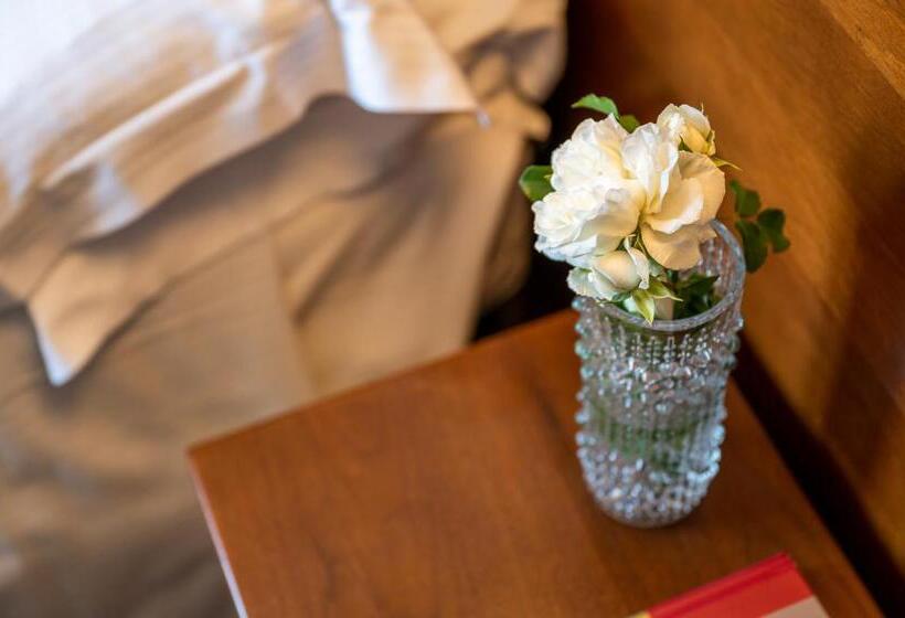 스탠다드 싱글 룸, Terme Posta Padova Hotel Rc12