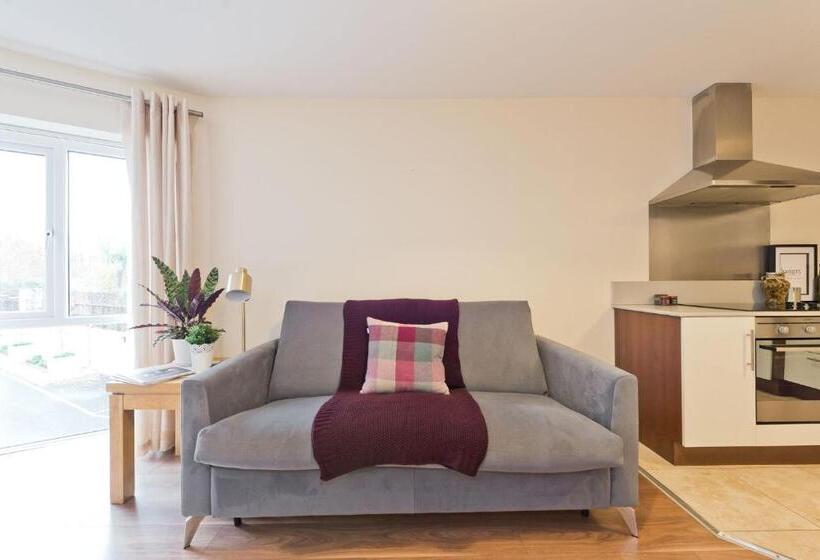 דירת חדר, Broc House Suites