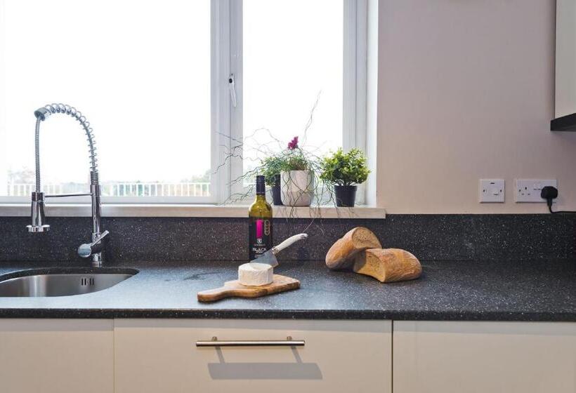 דירת פנטהאוז 1 חדרי שינה, Broc House Suites