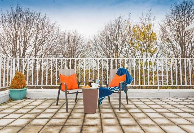 דירת פנטהאוז 1 חדרי שינה, Broc House Suites