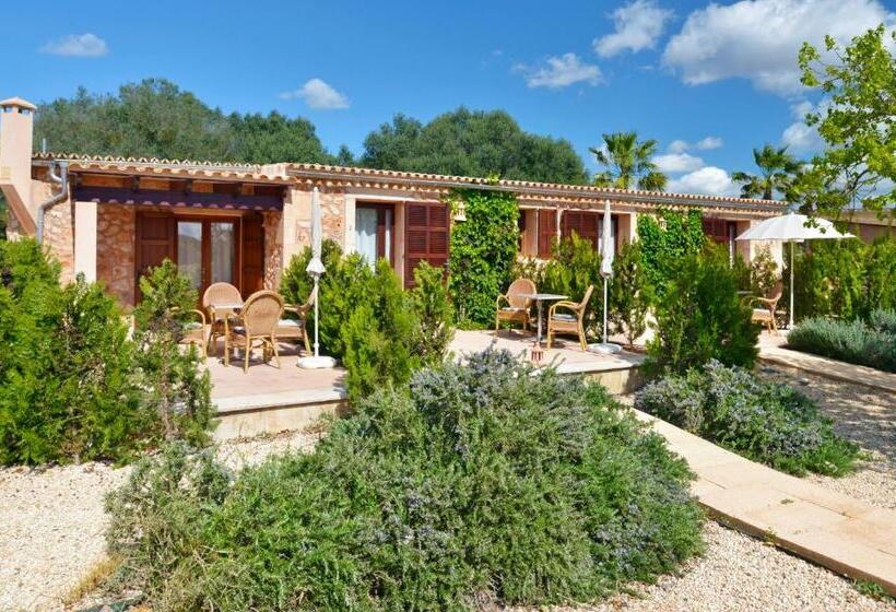 اتاق استاندارد, Agroturismo Fincahotel Son Pou