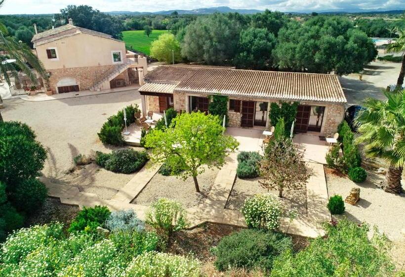 اتاق استاندارد, Agroturismo Fincahotel Son Pou