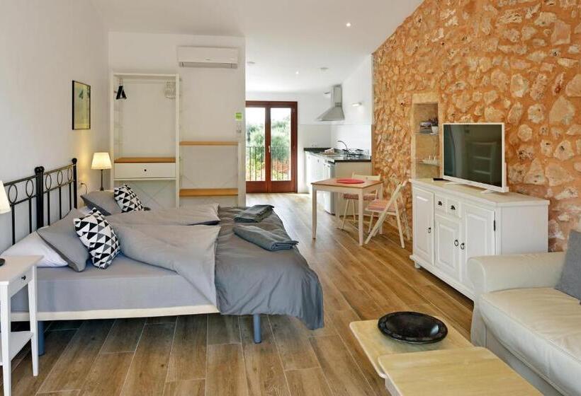 آپارتمان راحتی 1 خوابه, Agroturismo Fincahotel Son Pou