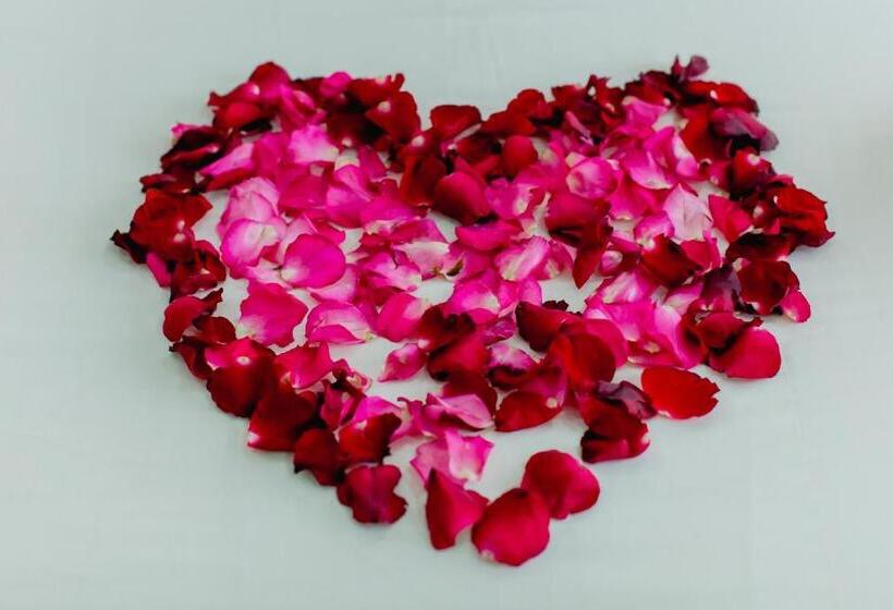 Appartamento 2 Camere da Letto, R.k. Guesthouse