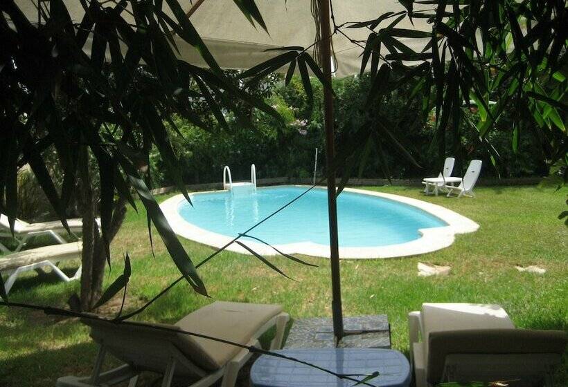 اتاق استاندارد, Dar El Yasmine Tunis