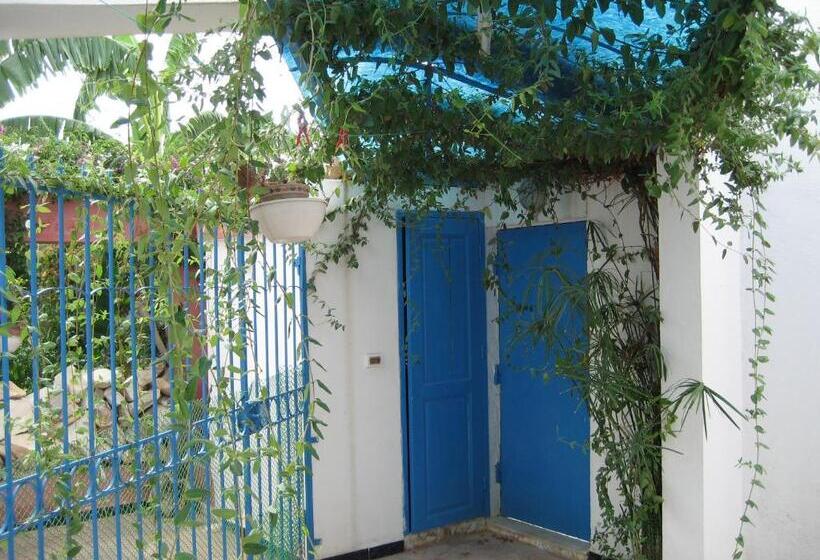 اتاق استاندارد, Dar El Yasmine Tunis