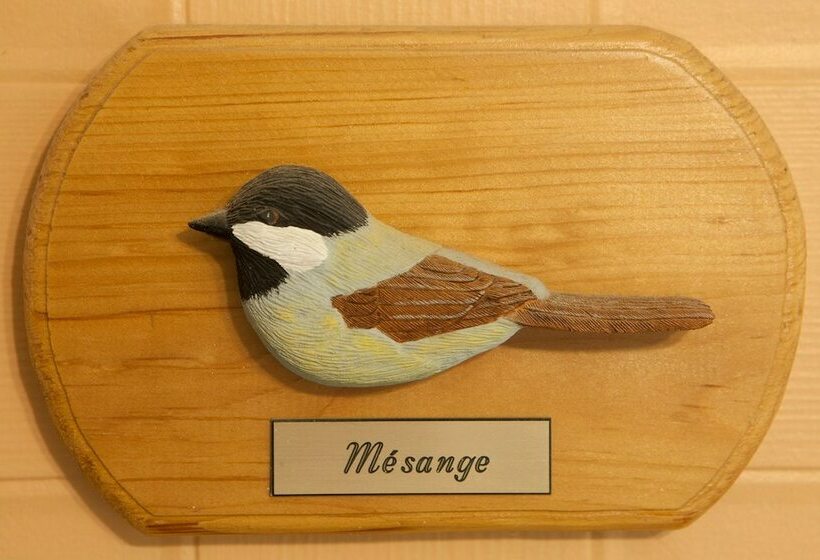 标准间, à Amour Et Amitié