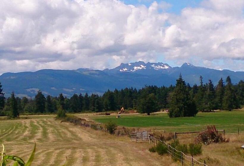 带大床的标准间, Paradise Acres Ranch