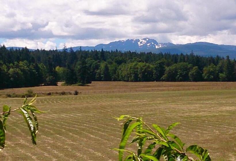 带大床的标准间, Paradise Acres Ranch