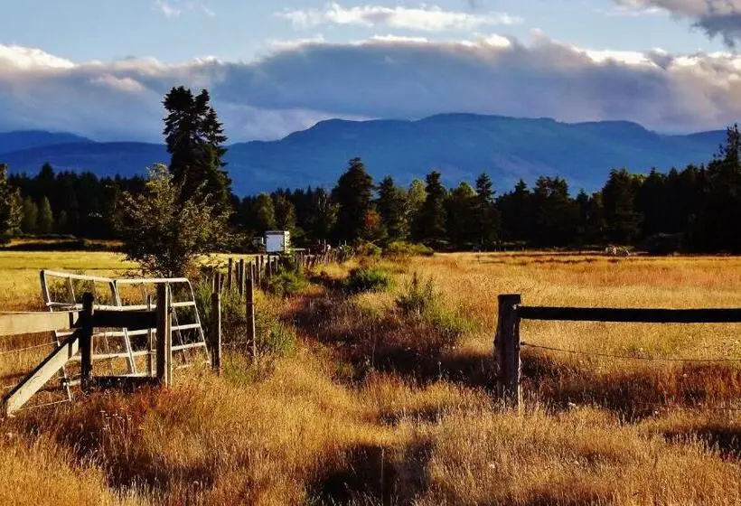 スタンダードルーム, Paradise Acres Ranch