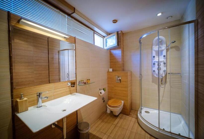 スタンダードスタジオ, Family Hotel Classic