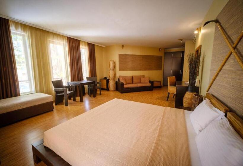 スタンダードスタジオ, Family Hotel Classic