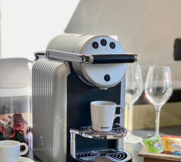 غرفة سوبيريور, Gardenia Fiera