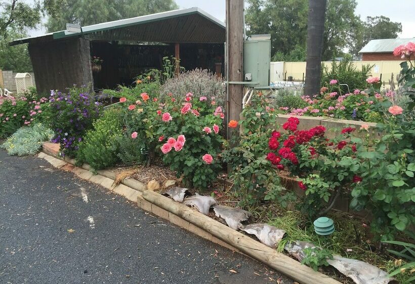 חדר סטנדרט, Oasis Motel