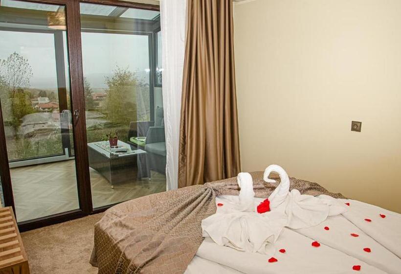 آپارتمان 1 خوابه با چشمانداز, Sveti Nikola Family Hotel Sapareva Banya