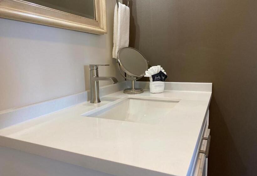 스탠다드 룸 킹사이즈 침대, Skyridge Inn