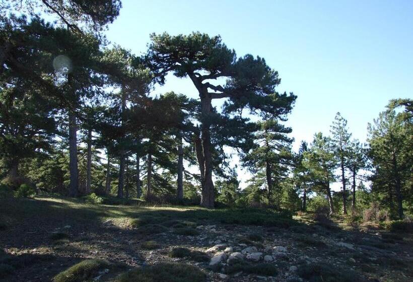 فيلا 4 غرف نوم, Casa Rural Cortijo El Helao