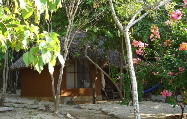 غرفة قياسية, Bahía De La Luna