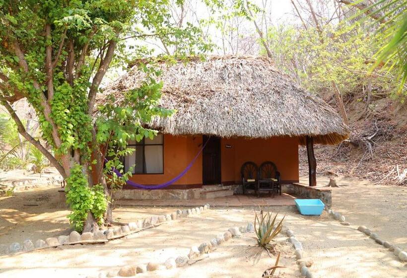 غرفة قياسية, Bahía De La Luna