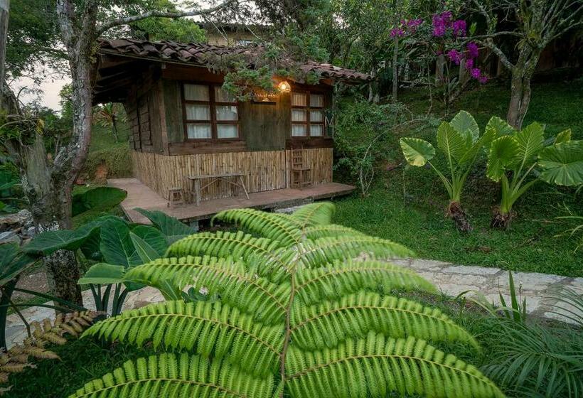 اتاق استاندارد, Cabañas Los Achicuales