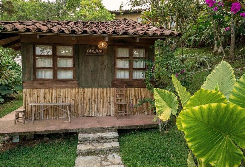 اتاق استاندارد, Cabañas Los Achicuales