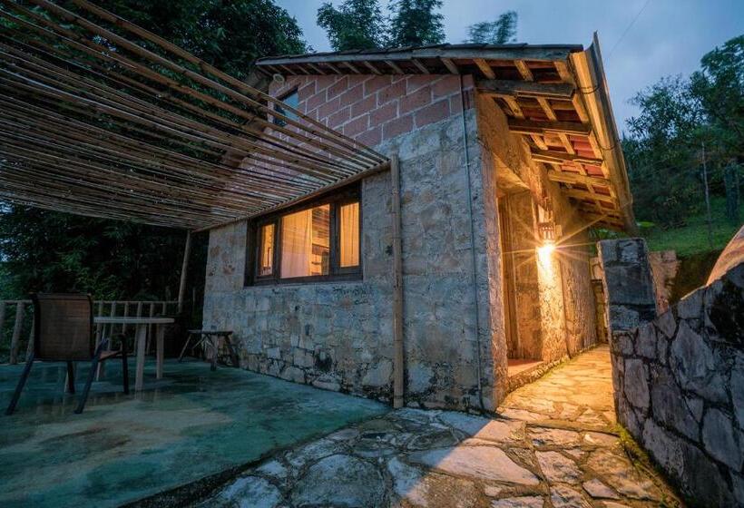 マウンテンビュースタンダードルーム, Cabañas Los Achicuales