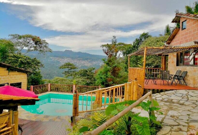 اتاق استاندارد با چشمانداز کوهستان, Cabañas Los Achicuales