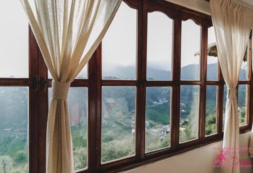 Полулюкс, San Jorge