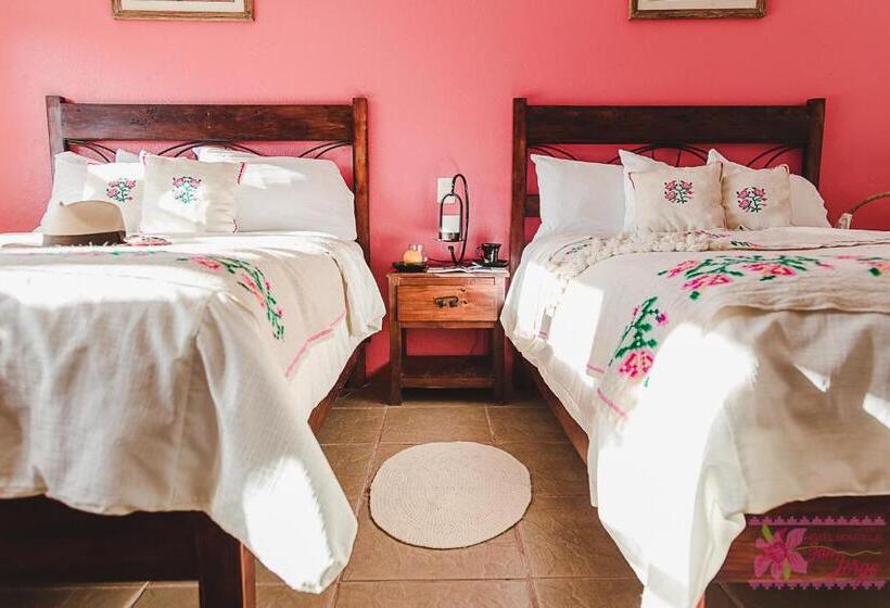 Номер Стандарт, San Jorge