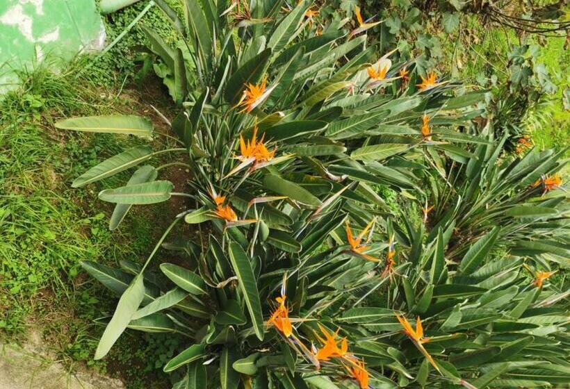 Стандартный Номер Кровать Кинг, San Jorge