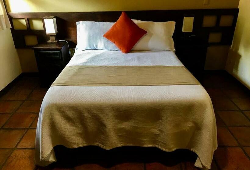 スタンダードルーム, Spa Holistico Real