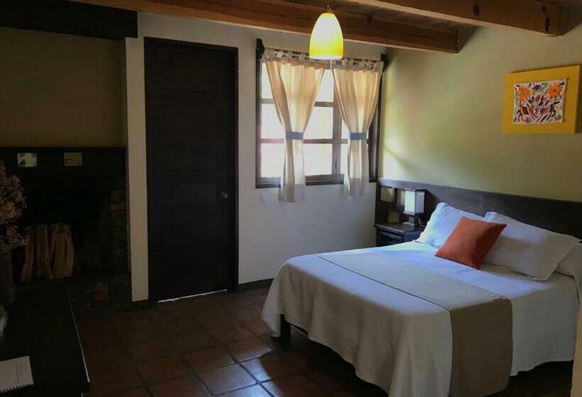 スタンダードルーム, Spa Holistico Real