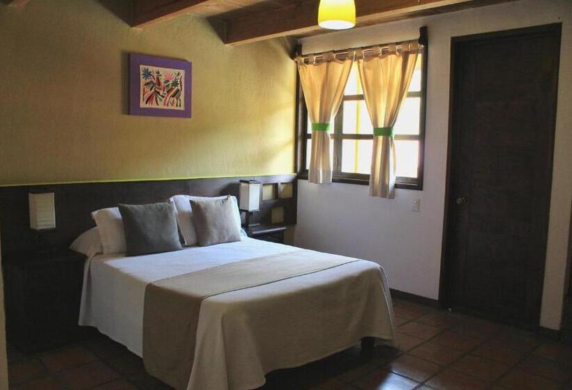 スタンダードルーム, Spa Holistico Real