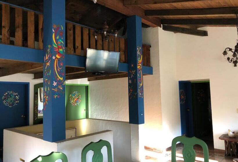 家族用バンガロー, Spa Holistico Real