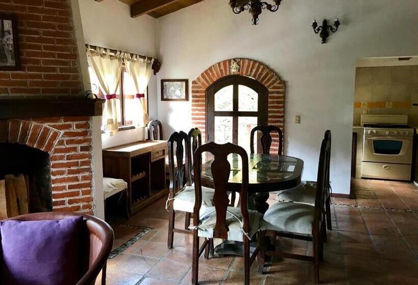 家族用バンガロー, Spa Holistico Real