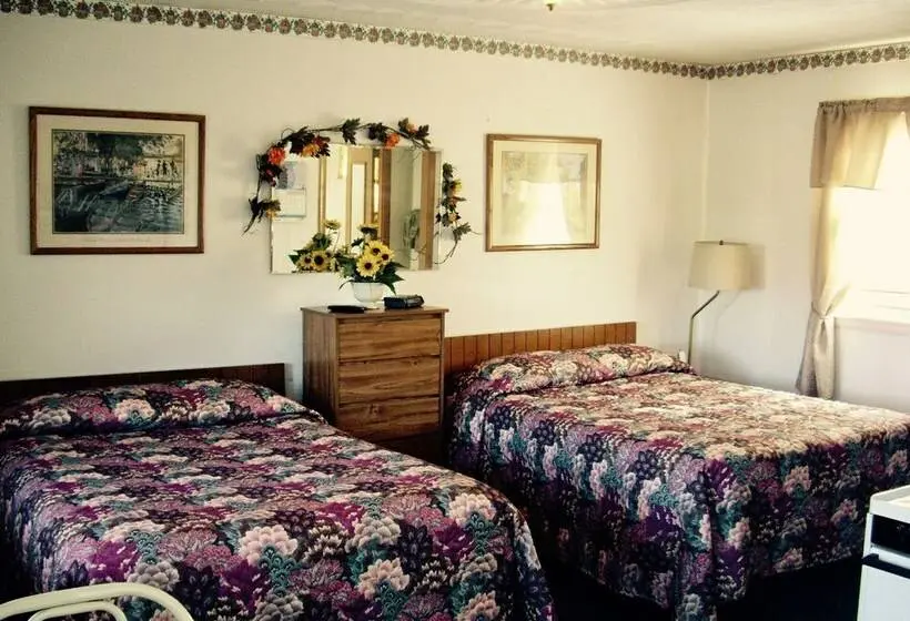 اتاق استاندارد با 2 تخت دوبل, Lakeview Motel & Apartments