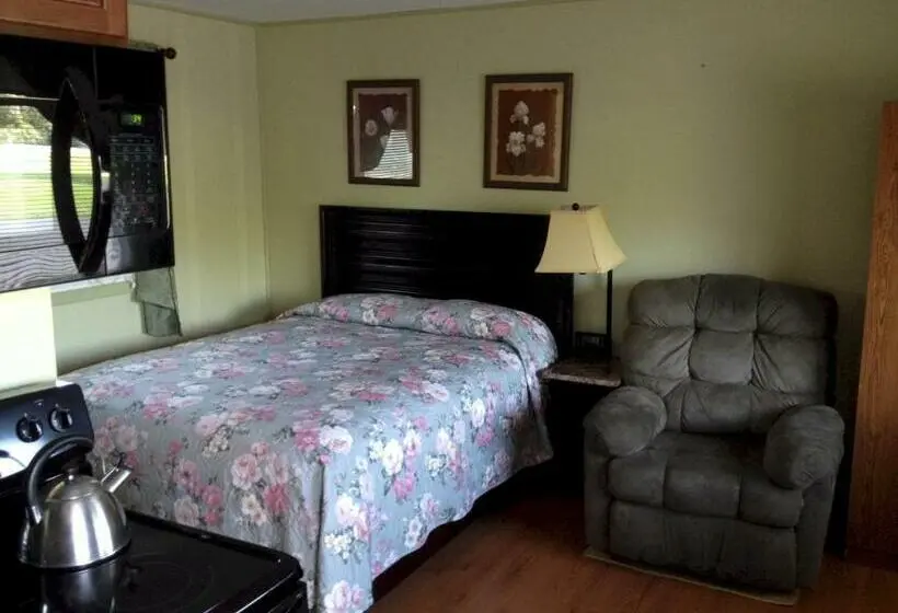 اتاق استاندارد یک نفره, Lakeview Motel & Apartments