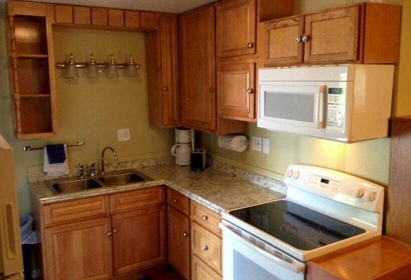 غرفة قياسية فردية, Lakeview Motel & Apartments