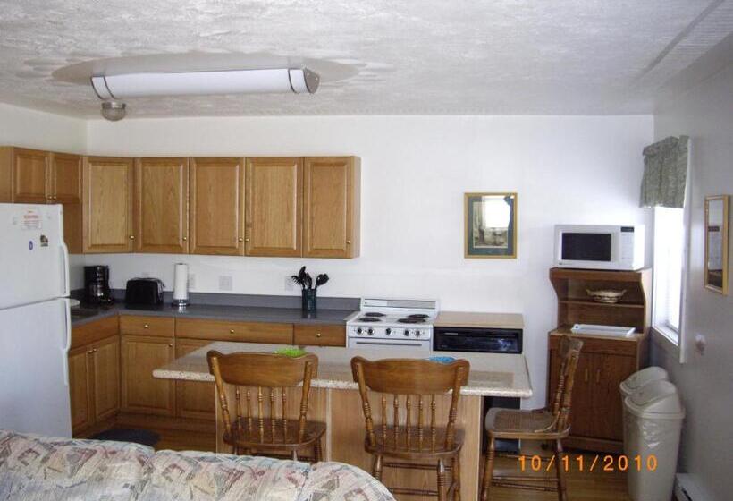 شقة غرفة واحدة, Lakeview Motel & Apartments